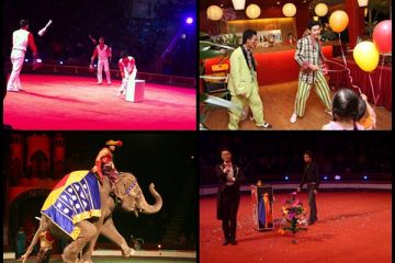 Cung cấp cho thuê nhóm xiếc – ảo thuật gia